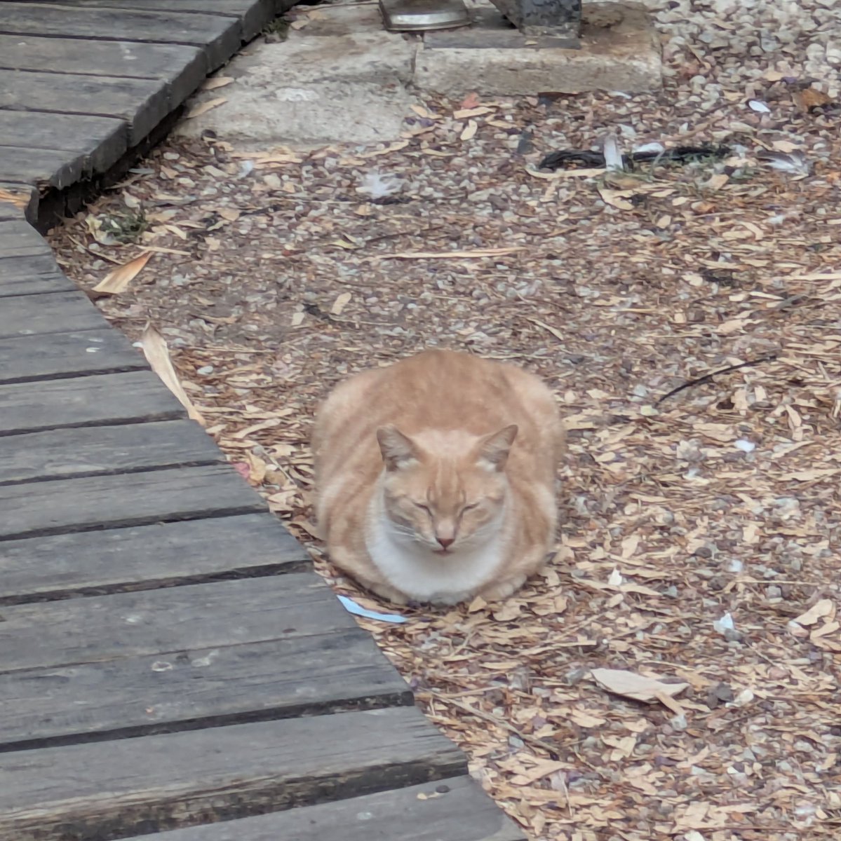 me encontré un pan de Málaga