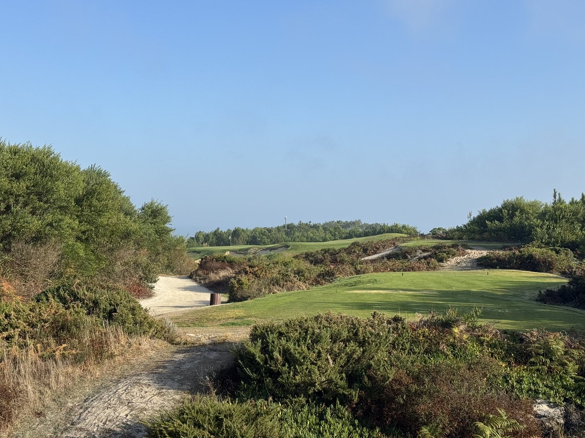 Asia Golf Trips tweet media