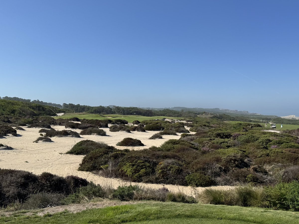 Asia Golf Trips tweet media