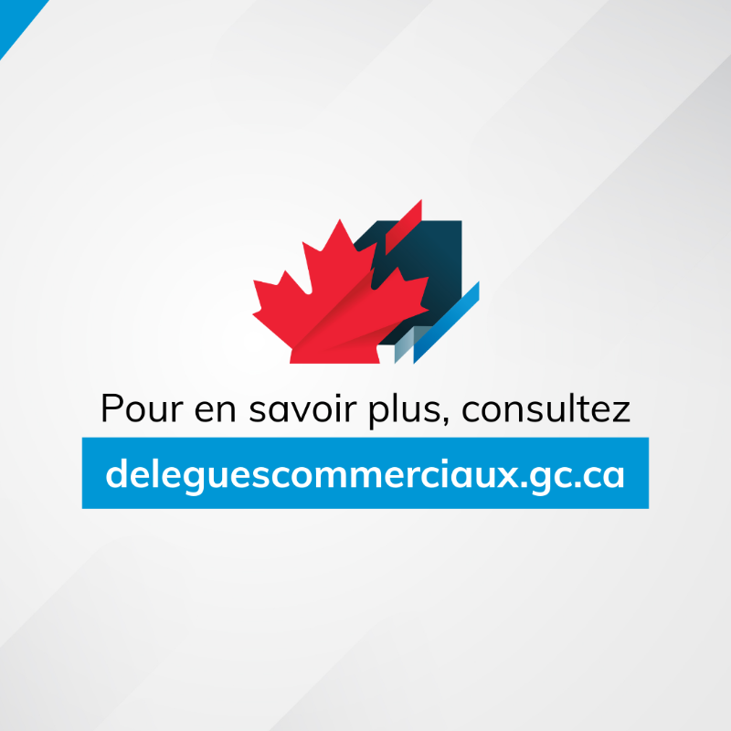 SDC_TCS's tweet photo. 📦 Les envois commerciaux de moins de 800 $ ne peuvent plus entrer aux #ÉtatsUnis en franchise de droits. Des droits peuvent s’appliquer, même sur les marchandises conformes à l’ACEUM envoyées par la poste.

Découvrez ce que cela signifie pour vous : https://t.co/xHc77HFi5F