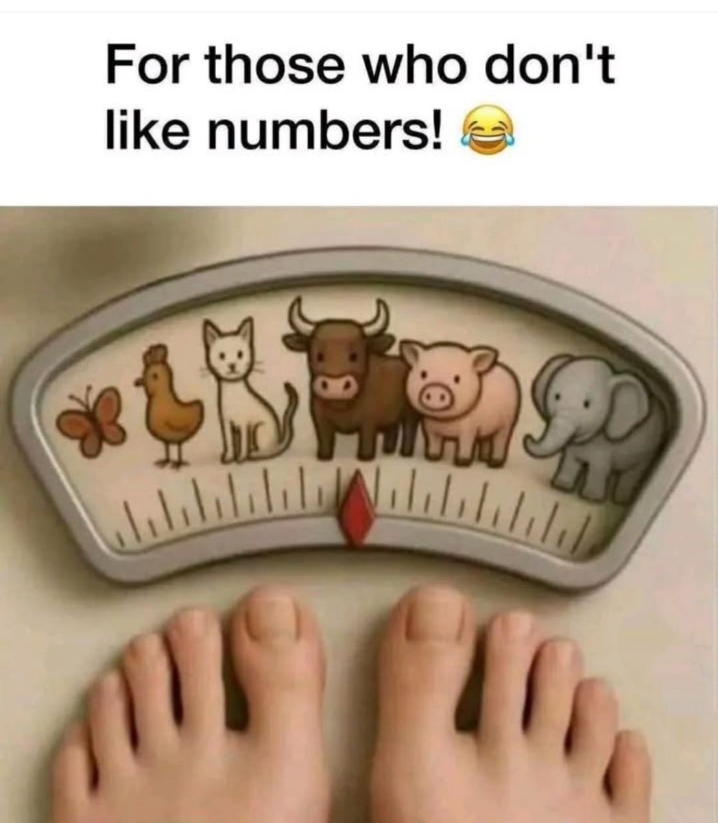 Perfect scale😂😂😂