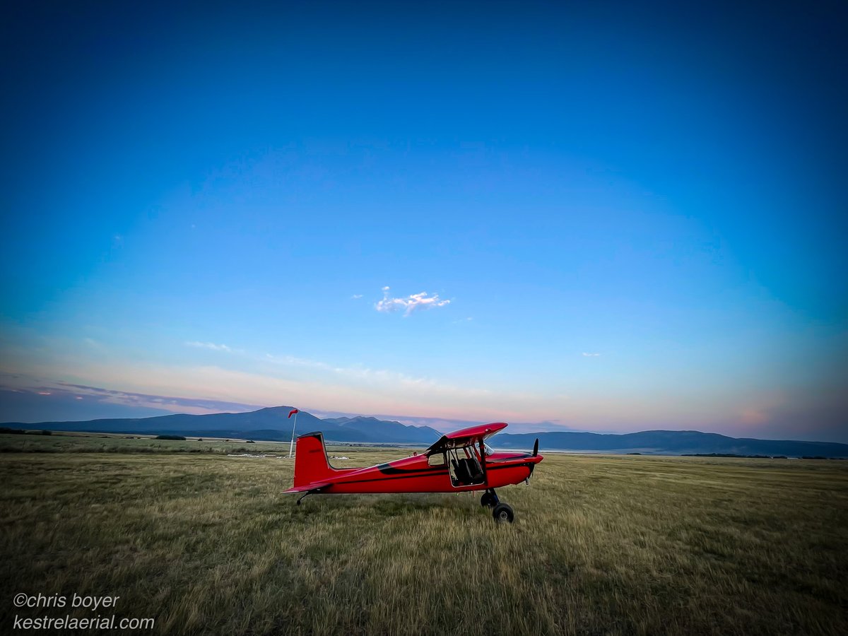 lighthawk_org's tweet image. Another week, another chance to fly for conservation.

Missions are on the board, pilots are ready, and LightHawk is taking on critical challenges from the air.

💙 Be part of the impact: lighthawk.org/donate!
#ConservationInFlight #ProtectWhatMatters
