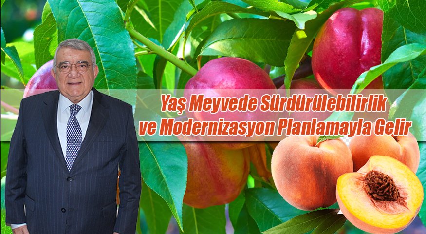 Özdemir: Yaş meyvede sürdürülebilirlik ve modernizasyon planlamayla gelir | Mersin Post mersinpost.com.tr/haber/13369/oz…  #Mersinpostcomtr #Mersinpost #Sondakika #Mersin #Toroslar #Akdeniz #Tarsus #Yenişehir #Mezitli #Erdemli #Silifke #Mut #Gülnar #Aydıncık #Bozyazı #Anamur <a href="/mersintb/">Mersin Ticaret Borsası</a>