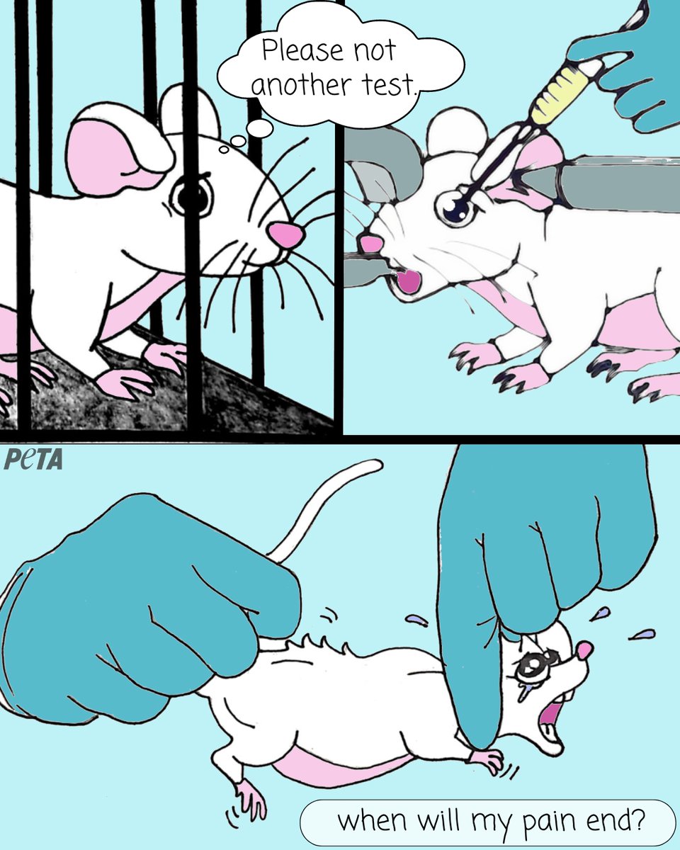 Imagine having liver cells injected into your eyes whilst you are being held in a restraint device, unable to move. Only to be eventually killed.

Suffering is suffering, no matter how small you are.