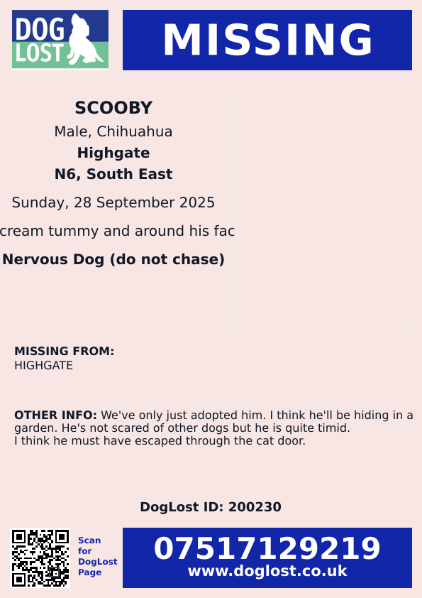MissingPetsGB's tweet image. 🐕 Missing dog lost near Wandel Park #Croydon #London #CR0

His name is SAMMY. Lost 29 September 2025
Wearing a blue collar.
Last seen running on Tylecroft road. If seen please do not chase him!