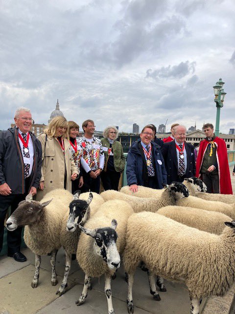 Playing Card Makers tweet media