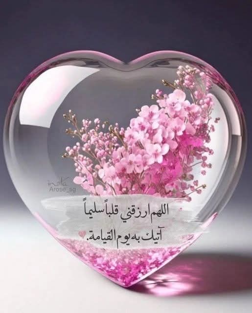 اللَّـهـُم ارزقني قلباً سليماّ آتيك به يوم القيامة .🩷