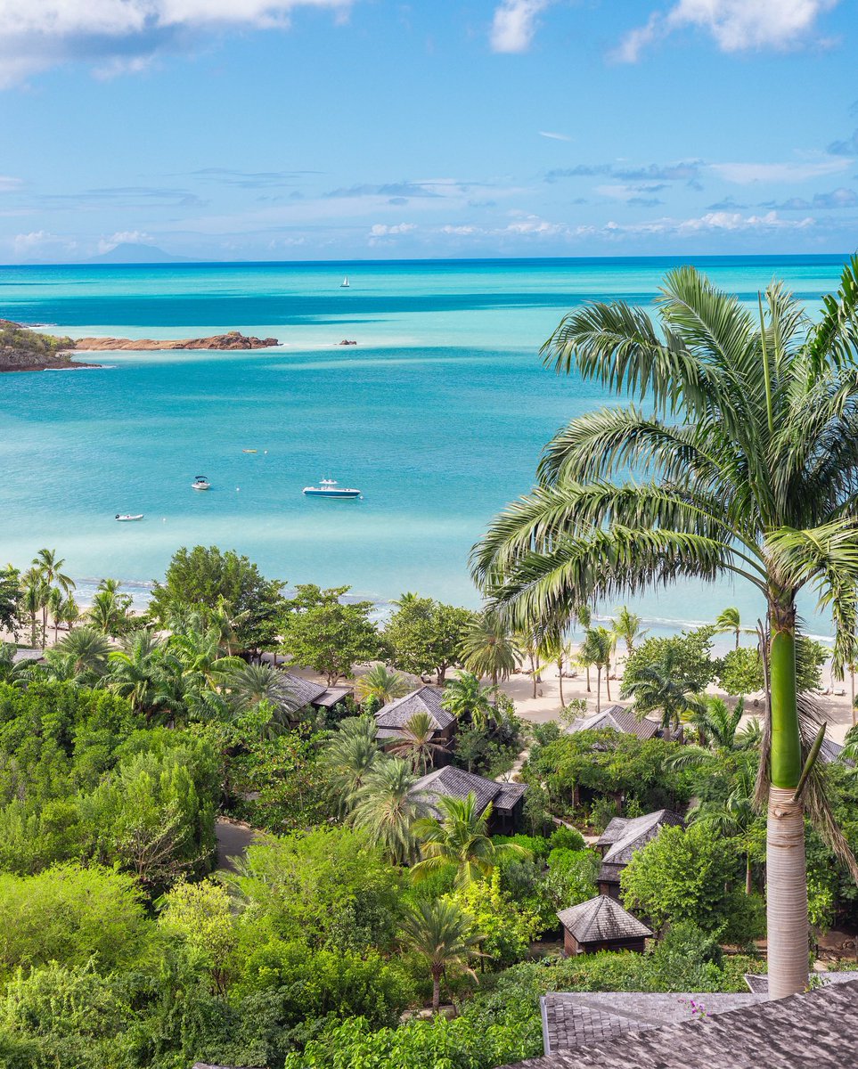 Le Petit Monde tweet media