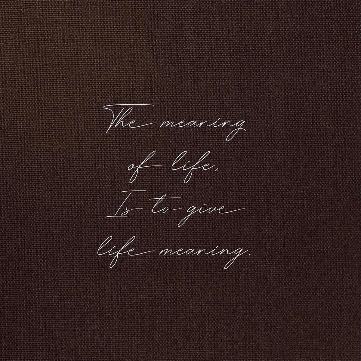 HeavenlyDTeam's tweet image. Neutrals that compliment every shade of beauty. 🪄 

From the softest ivory to the deepest espresso, curated to embrace your skin tone with effortless elegance! 🤎

#bras #brashop #brastore #braspecialist #fitter #stylist #style #fashion #HeavenlyDesires