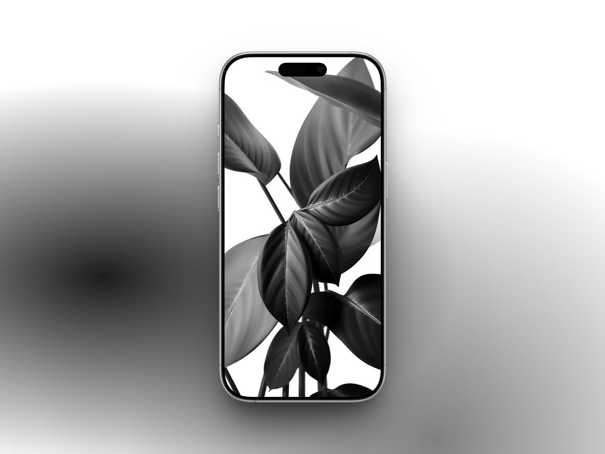 WallBy X. tweet media