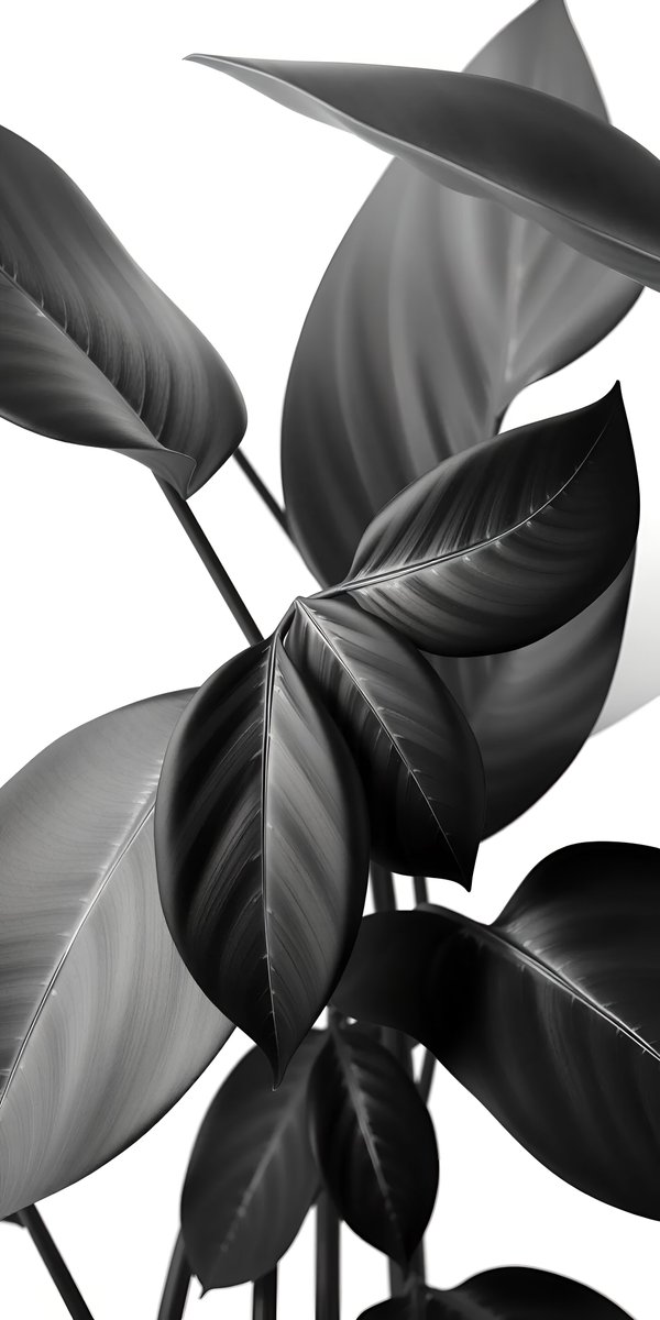 WallBy X. tweet media