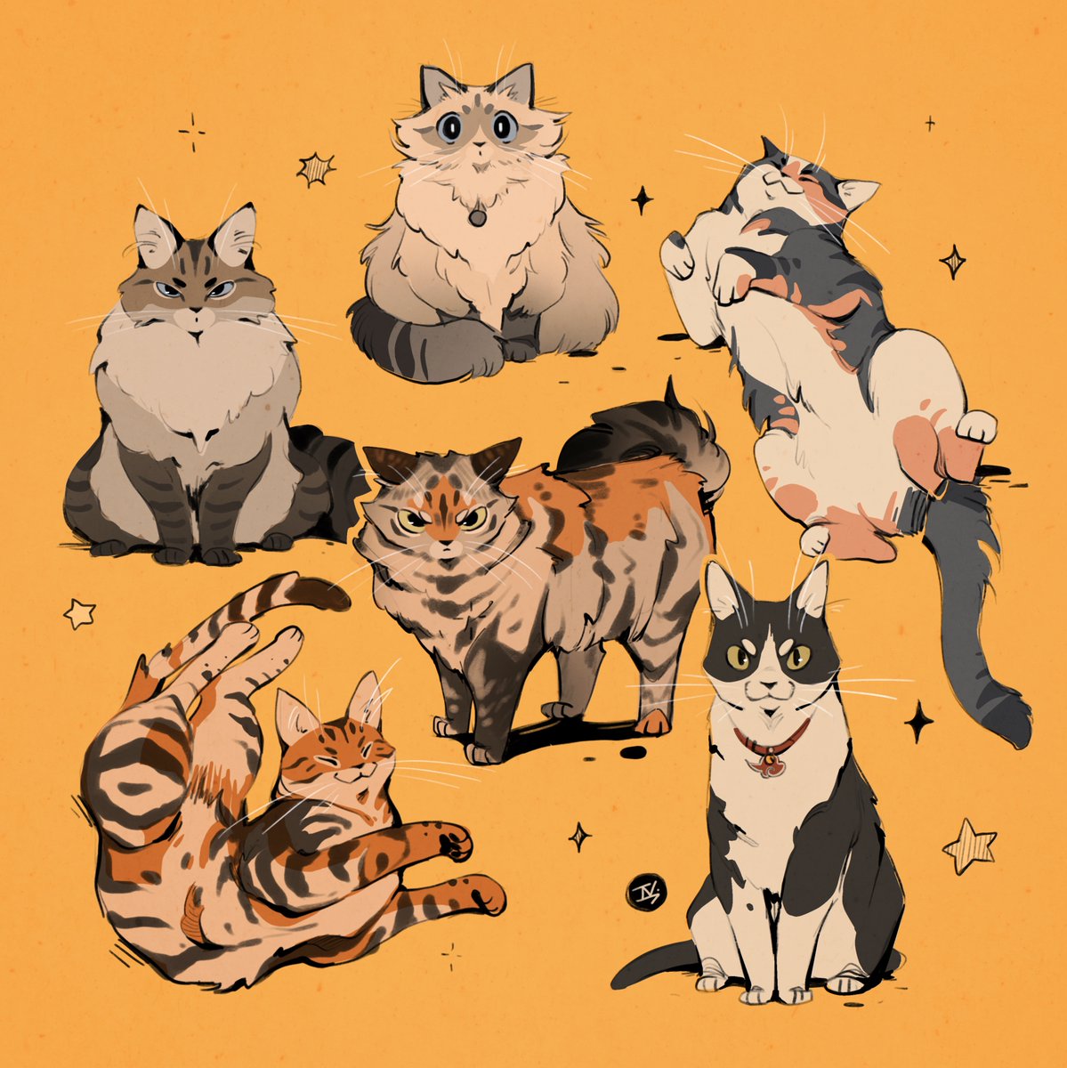 Tessa Jessali tweet media