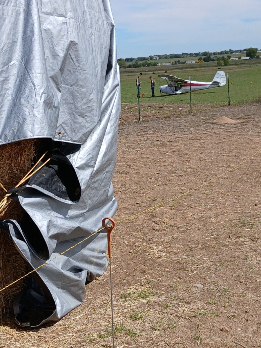 kmcsween's tweet image. Interesting day on the farm. We aren’t too far from the regional airport, so not too surprising to have a crash landing right next to the fence and cows. Glad everyone is okay.