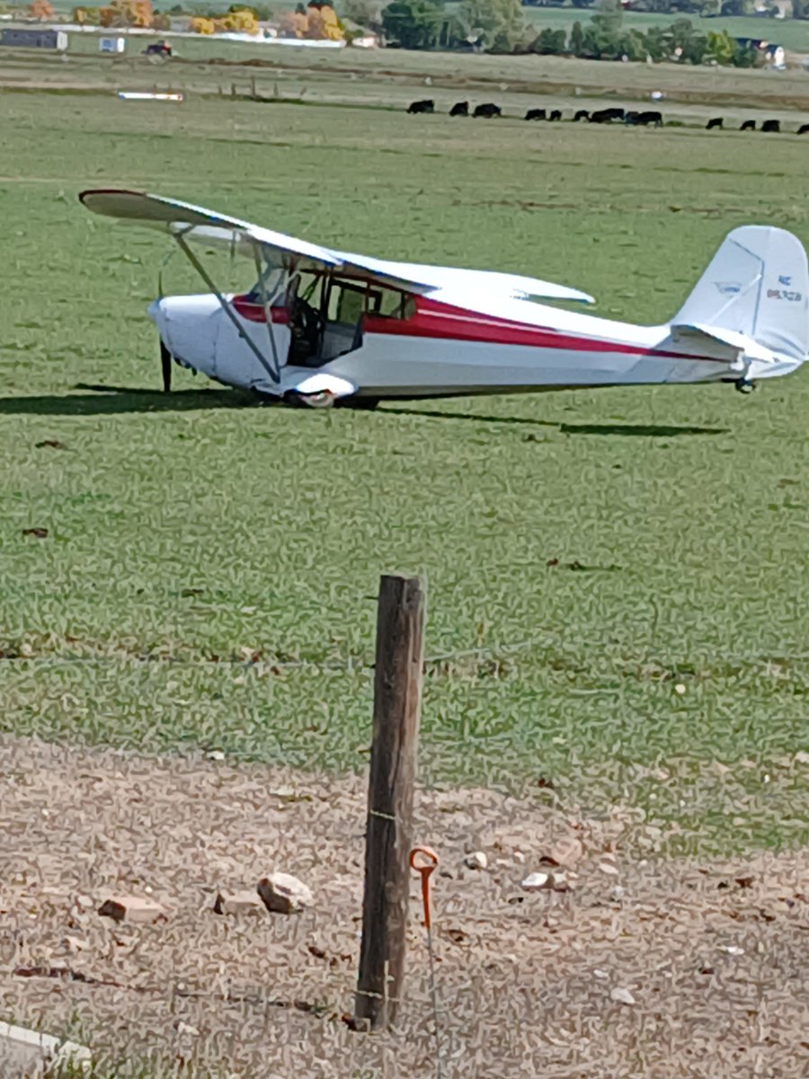 kmcsween's tweet image. Interesting day on the farm. We aren’t too far from the regional airport, so not too surprising to have a crash landing right next to the fence and cows. Glad everyone is okay.
