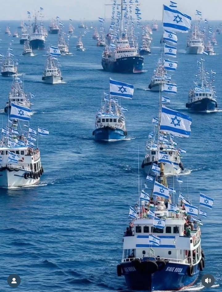 Tami 🇮🇱 tweet media