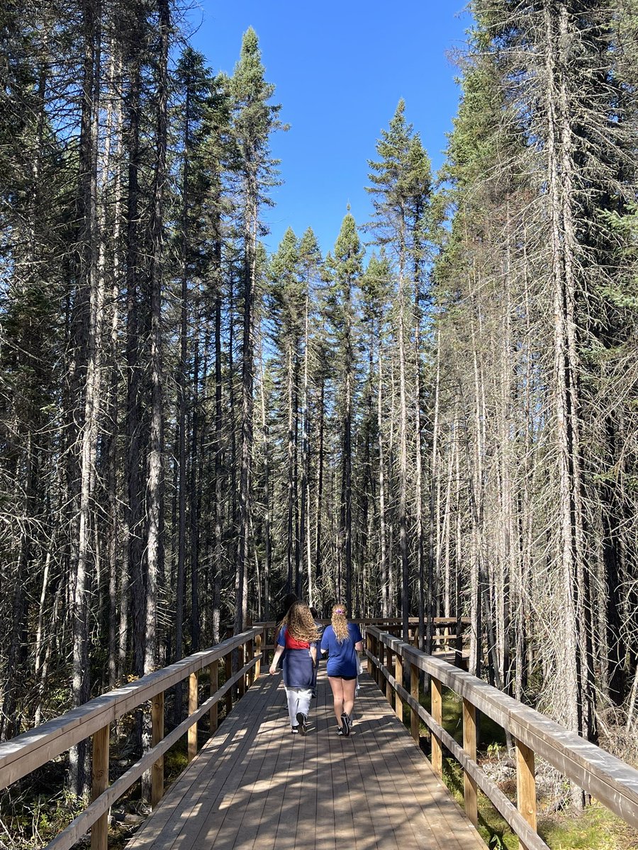 NickRuller's tweet image. Taking the opportunity to get #outofoffice @Algonquin_PP