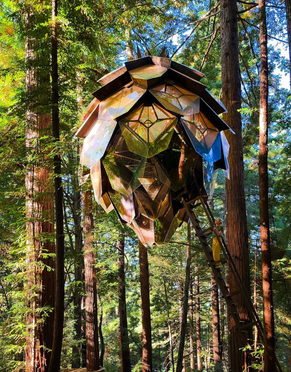 HoneyTrek's tweet photo. Ever since The Pinecone opened in 2018, we’ve dreamt of staying in this O2 Treehouse. A cutting-edge and utterly stunning design that shattered the convention of what a glamping structure could be, it is world-famous.… #glamping #treehouse #comfortablywild #treehouselife https://t.co/9KiOCnR3CZ