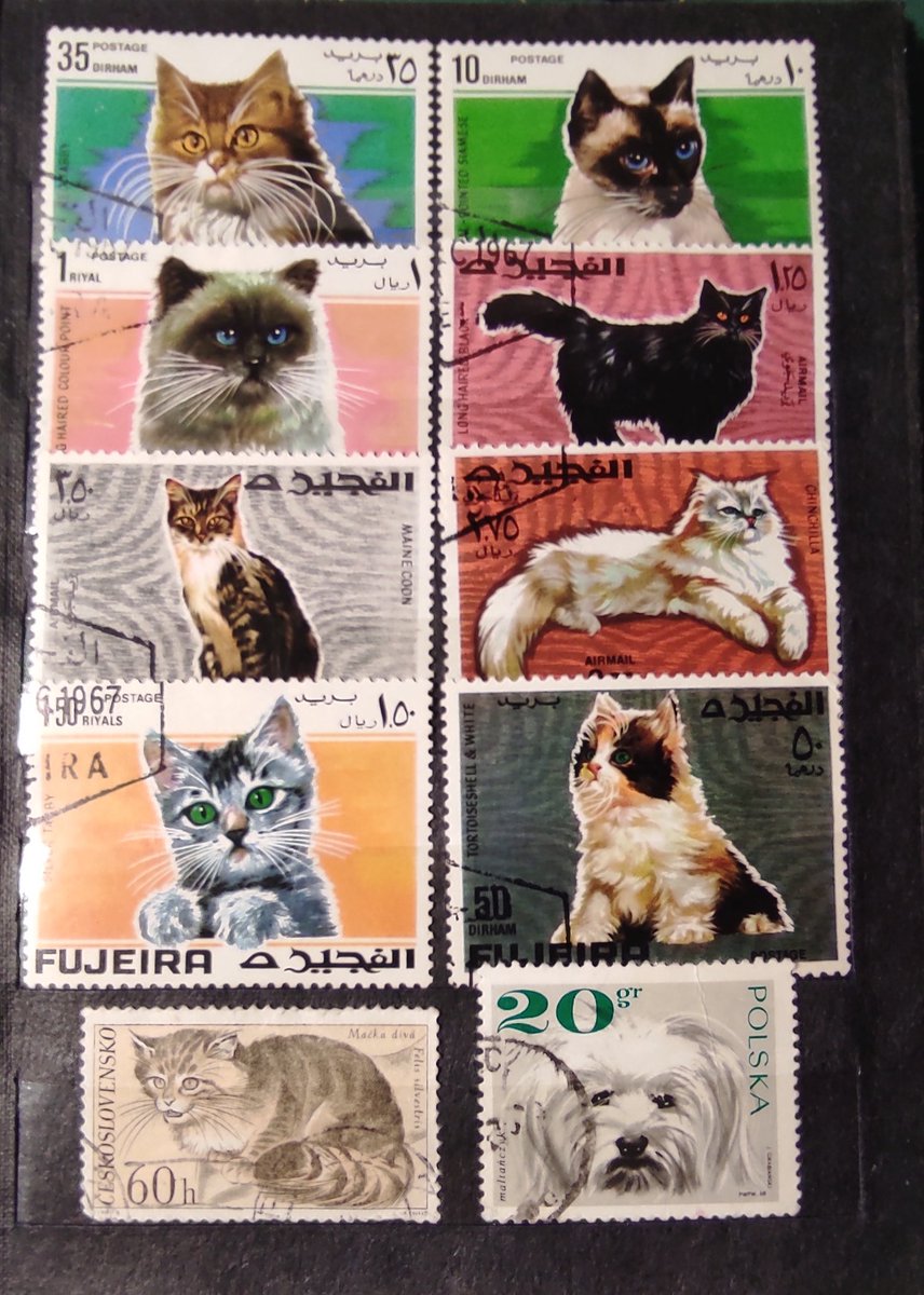 Dawno, dawno temu....
Ktoś z Was zbierał? Mam kilka klaserów i zastanawiam się, jaka jest ich obecnie wartość... Pewnie niewielka, bo i naiwnie zbierałem (wraz z śp. wujkiem Jurkiem) wszystko co się dało, więc i takie egzotyki...