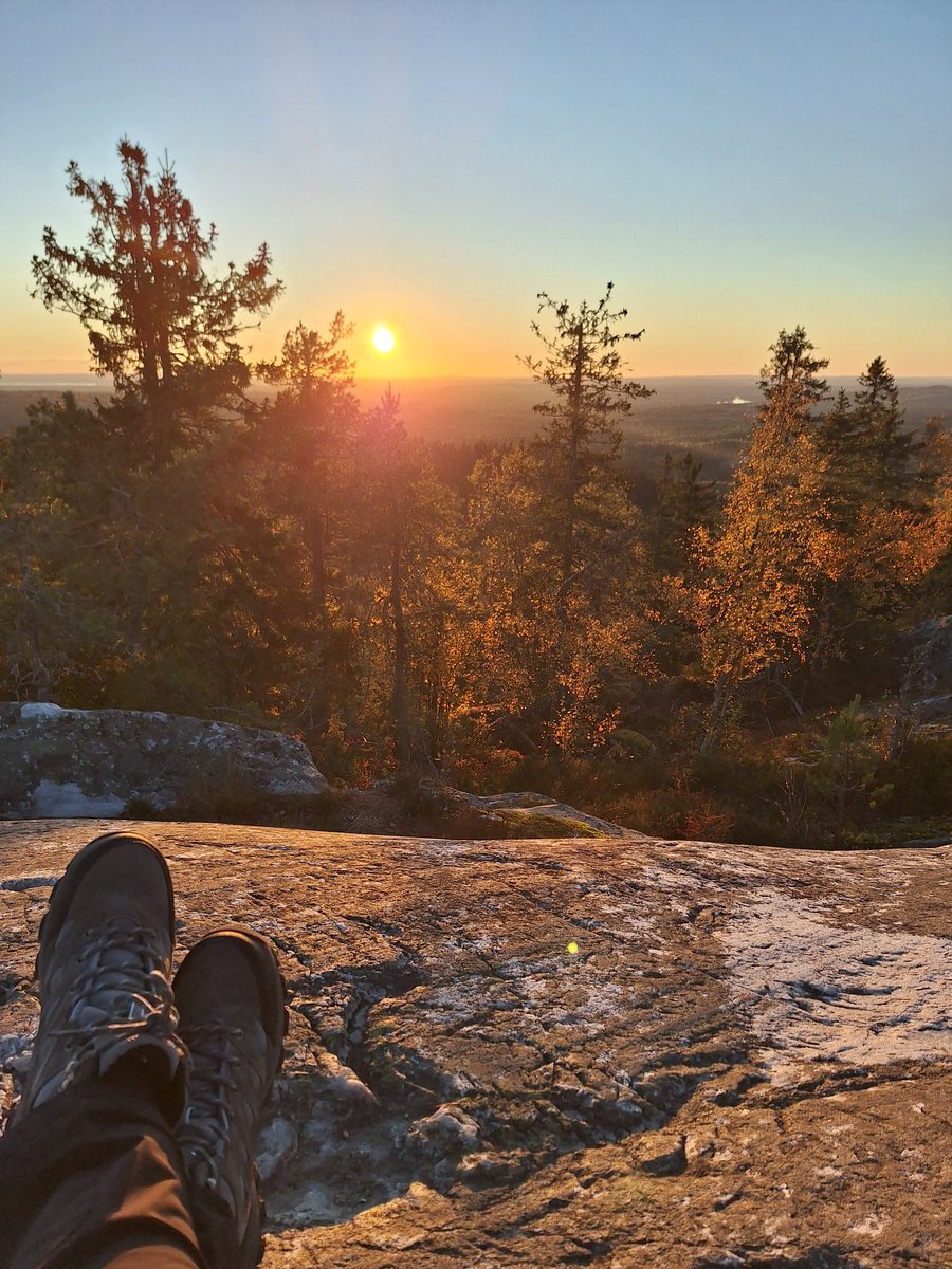 JudiMantere's tweet image. And now sunset from another peak, Akka-Koli, Koli National Park 🇫🇮 #Finland #Koli
@DiscoverFinland