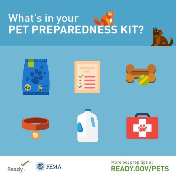 Whiteside_CHC's tweet image. When preparing for a disaster, don't forget your furry friends.  

For help making your plans visit: ready.gov/animals #NatlPrep  #PetPreparedness