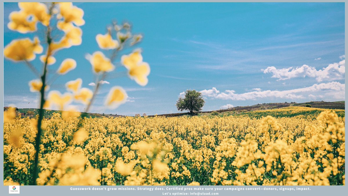 UluadM's tweet image. Guesswork doesn’t grow missions. Strategy does. Certified pros make sure your campaigns convert—donors, signups, impact.
Let’s optimize: info@uluad.com
#guesswork
#GoogleAdsense
#Nonprofit