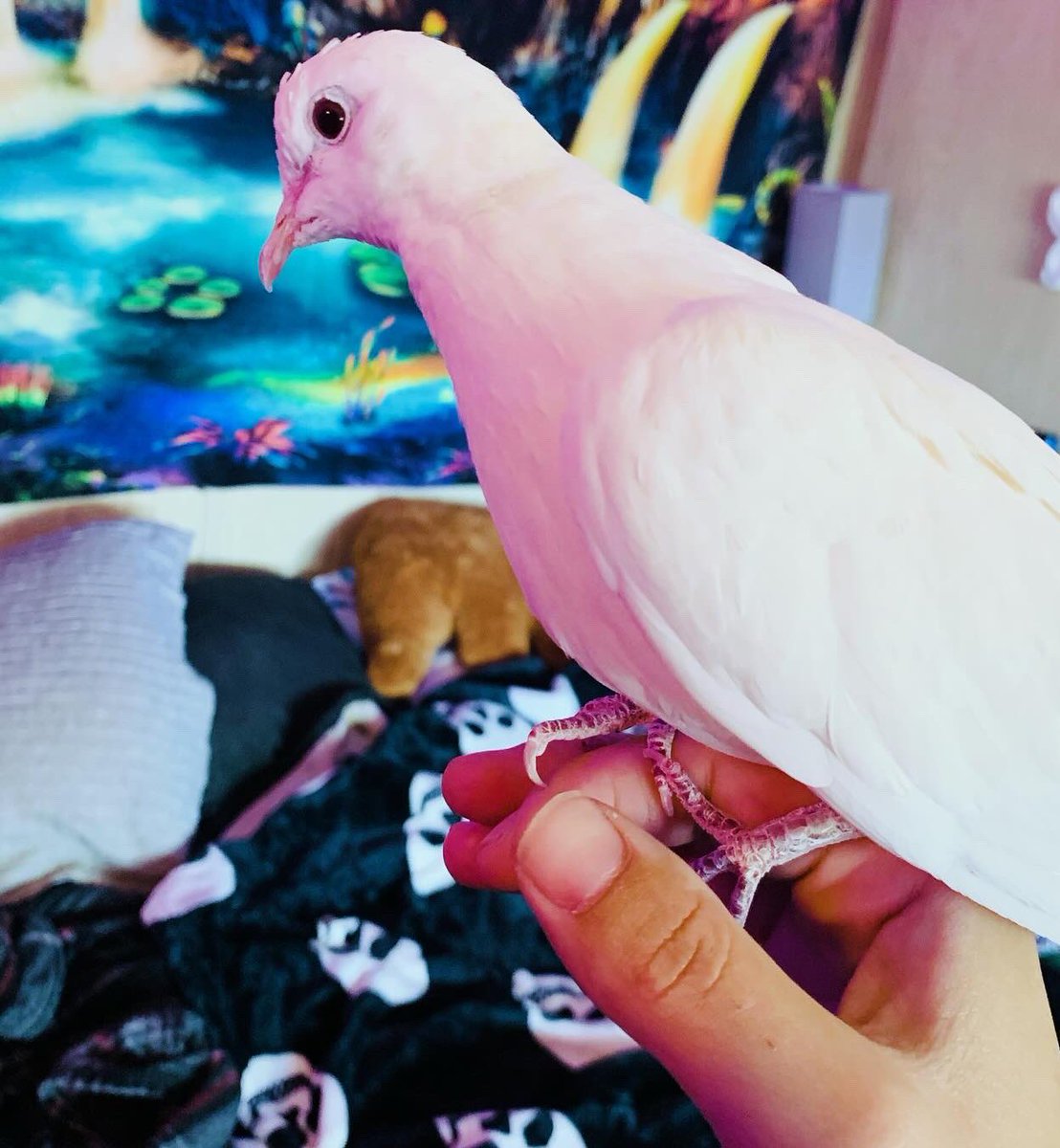 Thank you to <a href="/Chewy/">Chewy</a> for this amazing painting! It was an awesome surprise and looks like my boy! We both love it!