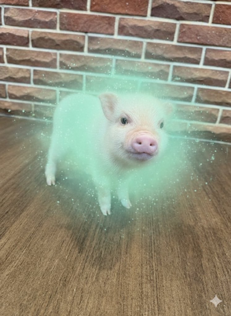 <a href="/soapweb3/">soap</a> @Tommicropigsol .