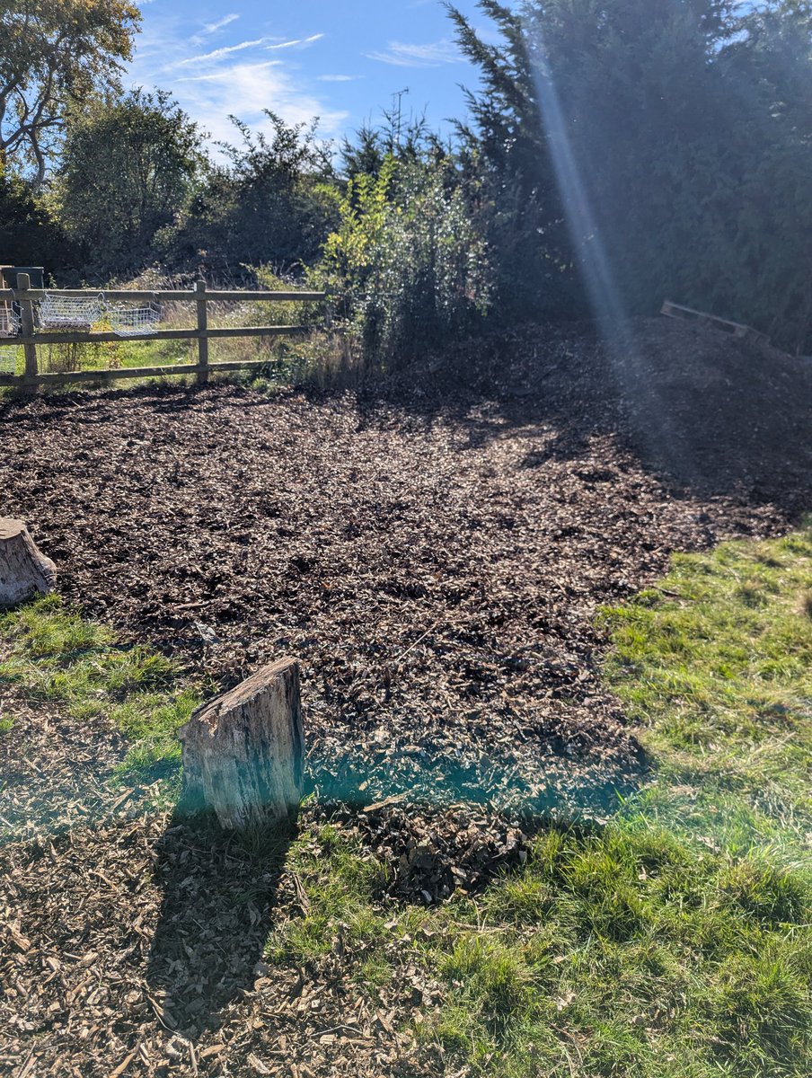 leeks_dan's tweet image. Bit more progress on our next exciting project today🌳🌳