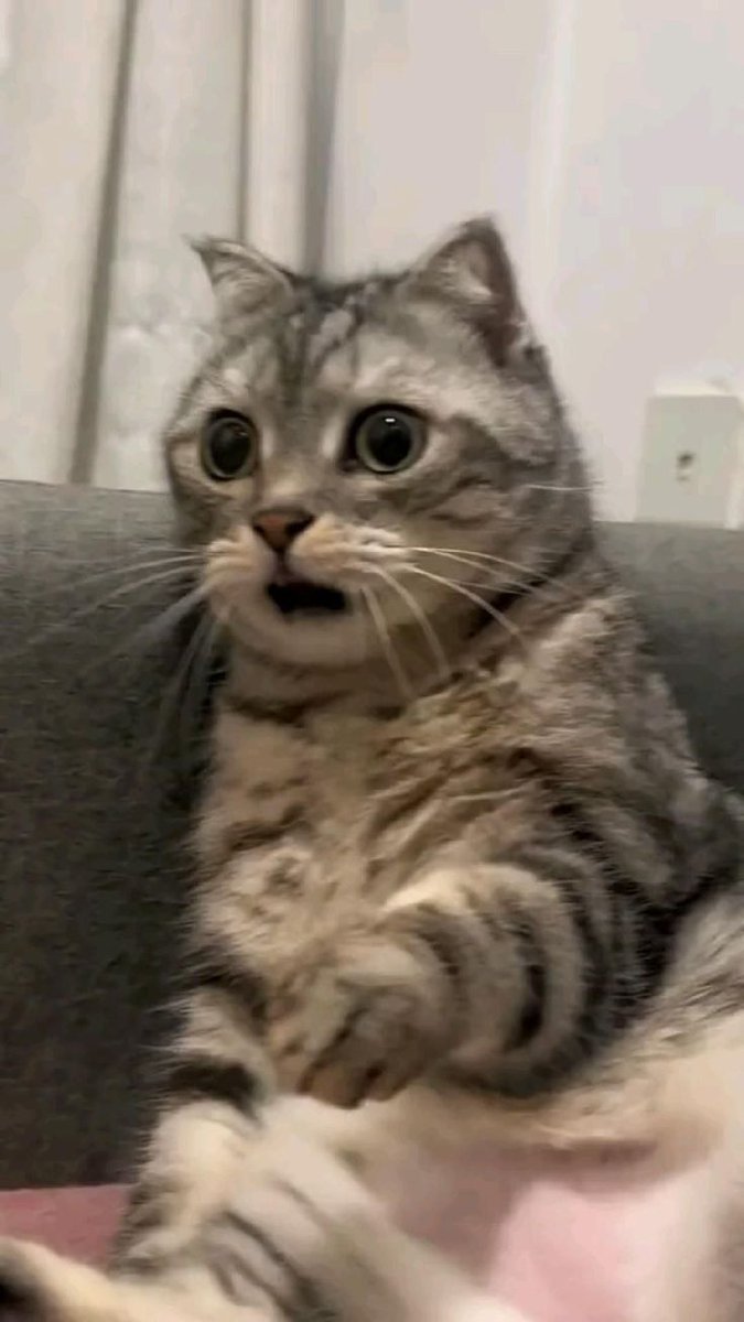 _billionpips's tweet image. Trading is not a source of income

Don't treat it that way..

Treat like a hobby or a random skill that will pay you in the long 

Not a way to make fast money 

If you need money fast

get a job