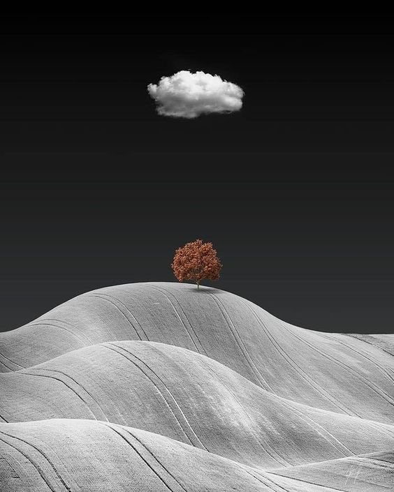 Alessandro ⚓️ NO DM tweet media