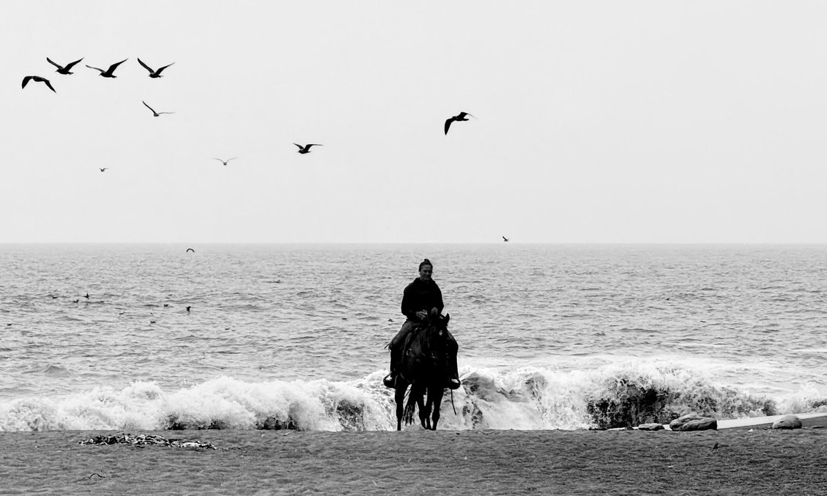 touched g̷r̷a̷s̷s̷ water