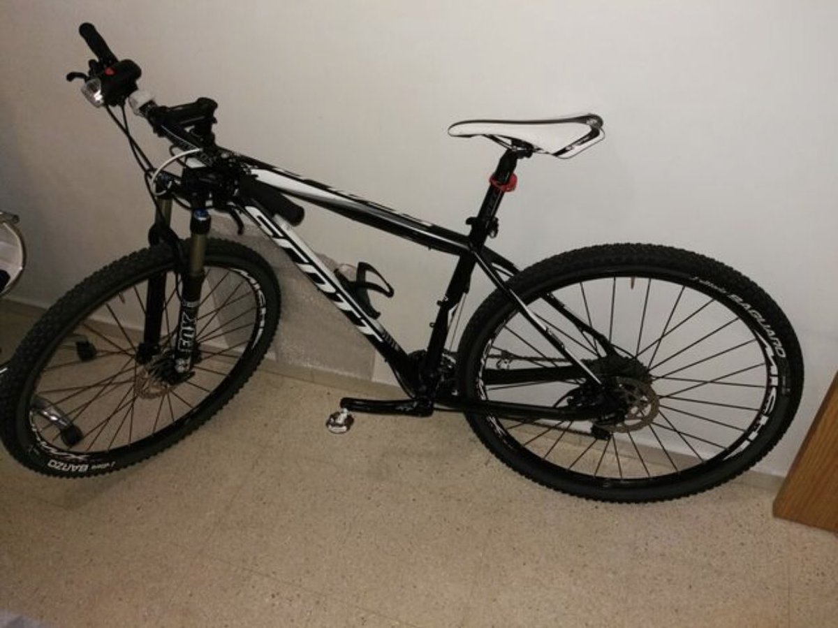 ✘ 𝗥𝗮𝗳𝗮𝗙𝗲𝗿𝗟𝟬 ✘ tweet media