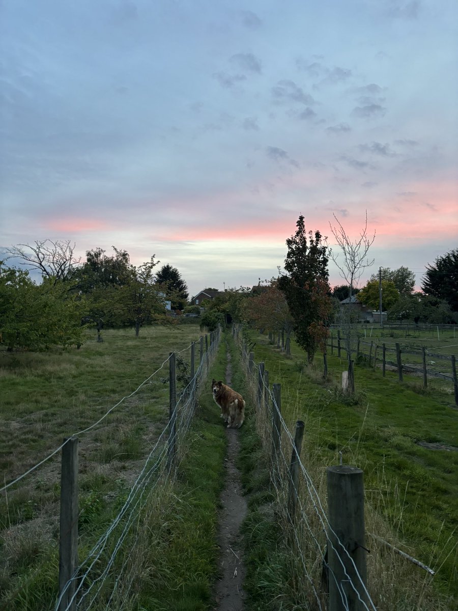 Tanya Ferry tweet media