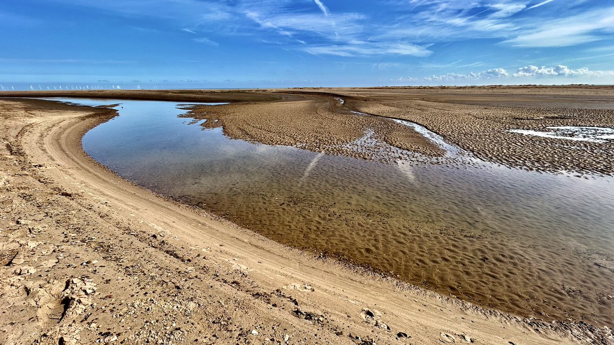 Our circular walk today at Gibraltar Point. Highlights: Cattle Egret, Spotted Redshank, Black Redstart &amp; Sandwich Tern.