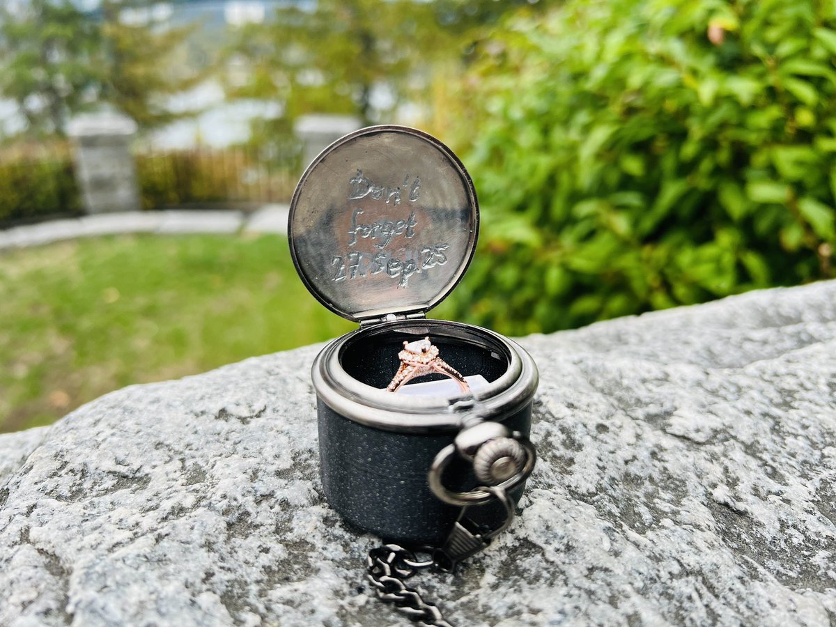 ✨Stepho✨ tweet media