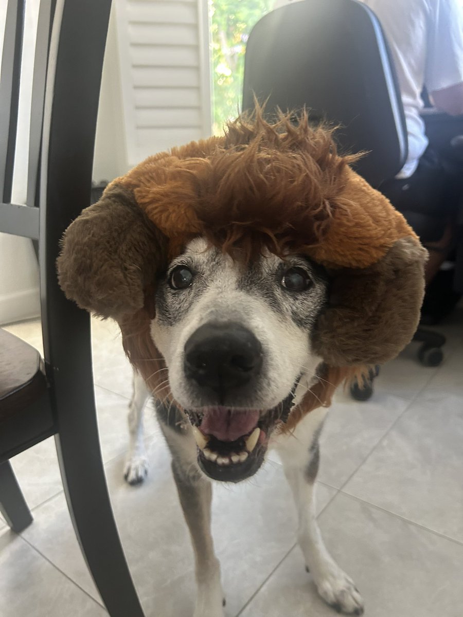 New pics of my beautiful. These babies are getting so big.