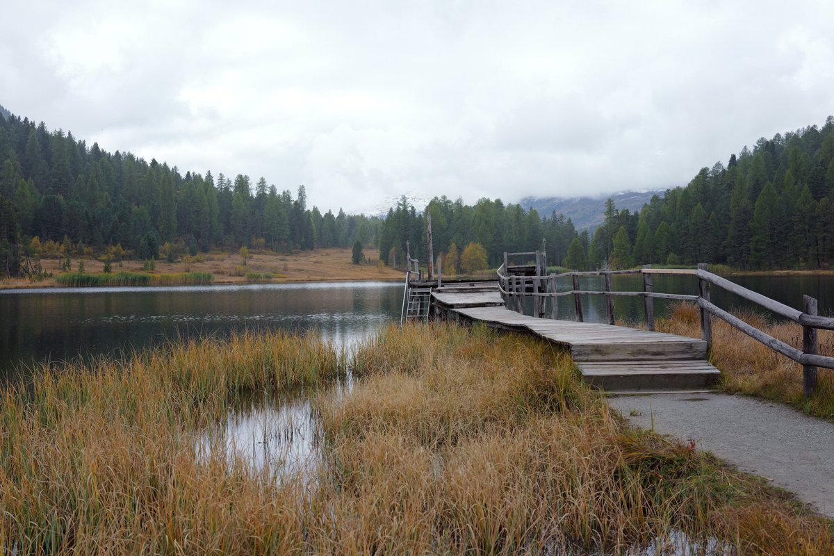 Stille, Natur, Wandlung.
Zwischen dem, was ist, und dem, was möglich wird. 🌿✨

#Natur #Stille #Wandlung