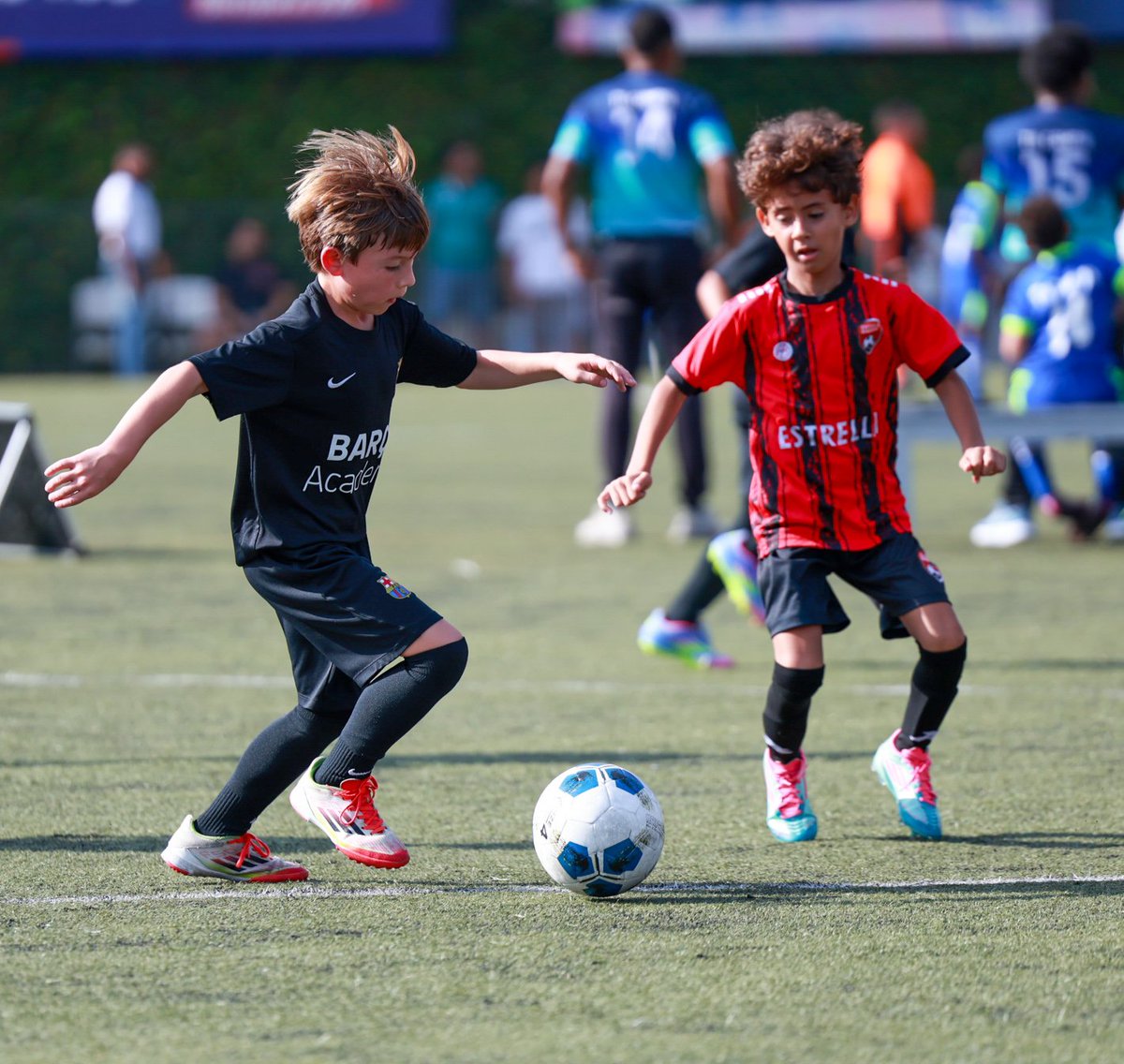 SoyRLMauro's tweet photo. #AFDN Torneo Infantil AFDN 2025.
14 Clubes, 5 categorías, 44 equipos, +900 niños/as en 4 sedes, @BARCAAcademyRD @santafefc2 @dv7soccer_rd y #Quita_Sueño
Siguenos en https://t.co/ylAFPuEzUq
IG: @afdn.do
@AccionDeportRD
@BennyMetz
@balompiedom
@fedofutbol @sedofutbol @XCadalso https://t.co/rja1pZGCjK