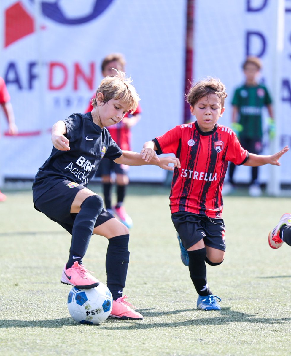 SoyRLMauro's tweet photo. #AFDN Torneo Infantil AFDN 2025.
14 Clubes, 5 categorías, 44 equipos, +900 niños/as en 4 sedes, @BARCAAcademyRD @santafefc2 @dv7soccer_rd y #Quita_Sueño
Siguenos en https://t.co/ylAFPuEzUq
IG: @afdn.do
@AccionDeportRD
@BennyMetz
@balompiedom
@fedofutbol @sedofutbol @XCadalso https://t.co/rja1pZGCjK