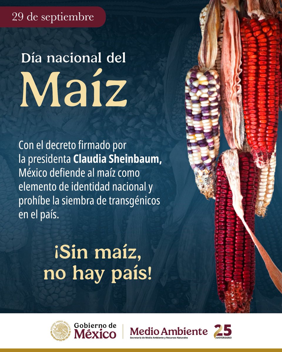 SEMARNAT México tweet media