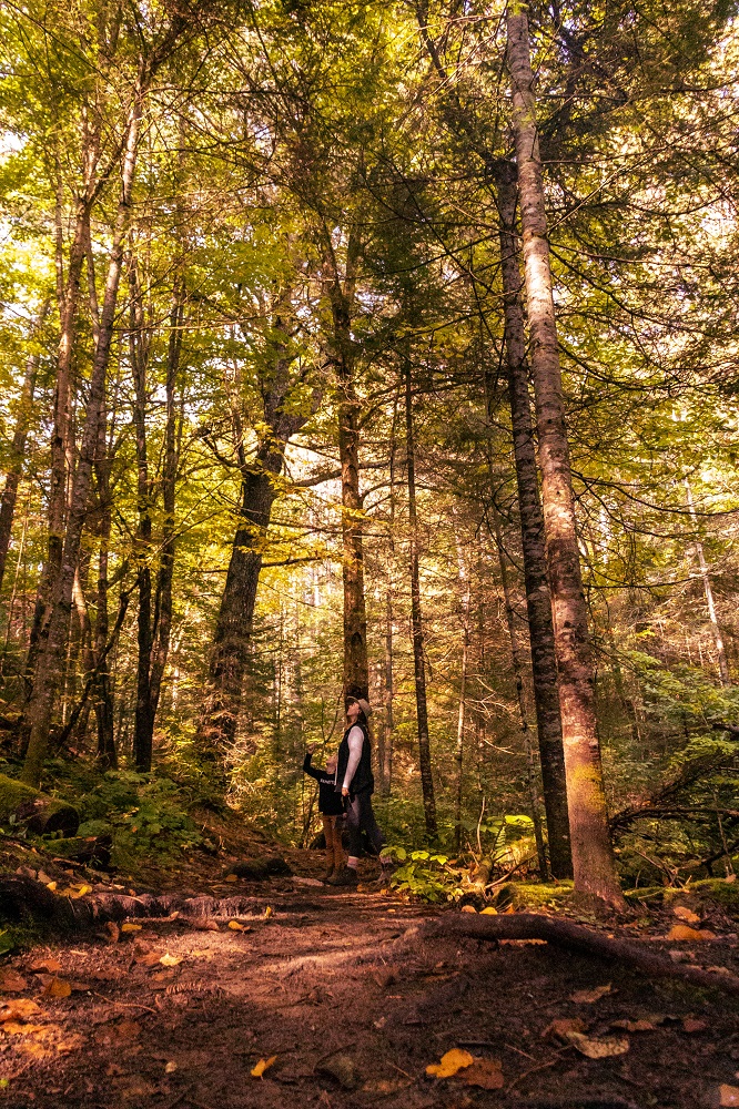 ParcsOntario's tweet image. Faites une randonnée pour votre cœur! 

Une promenade dans les bois ne fait pas seulement du bien au moral, elle abaisse également la tension artérielle et réduit les hormones du stress. 

La nature nous fait vraiment nous sentir mieux. 💙💚

#JournéeMondialeDuCœur #SPSP