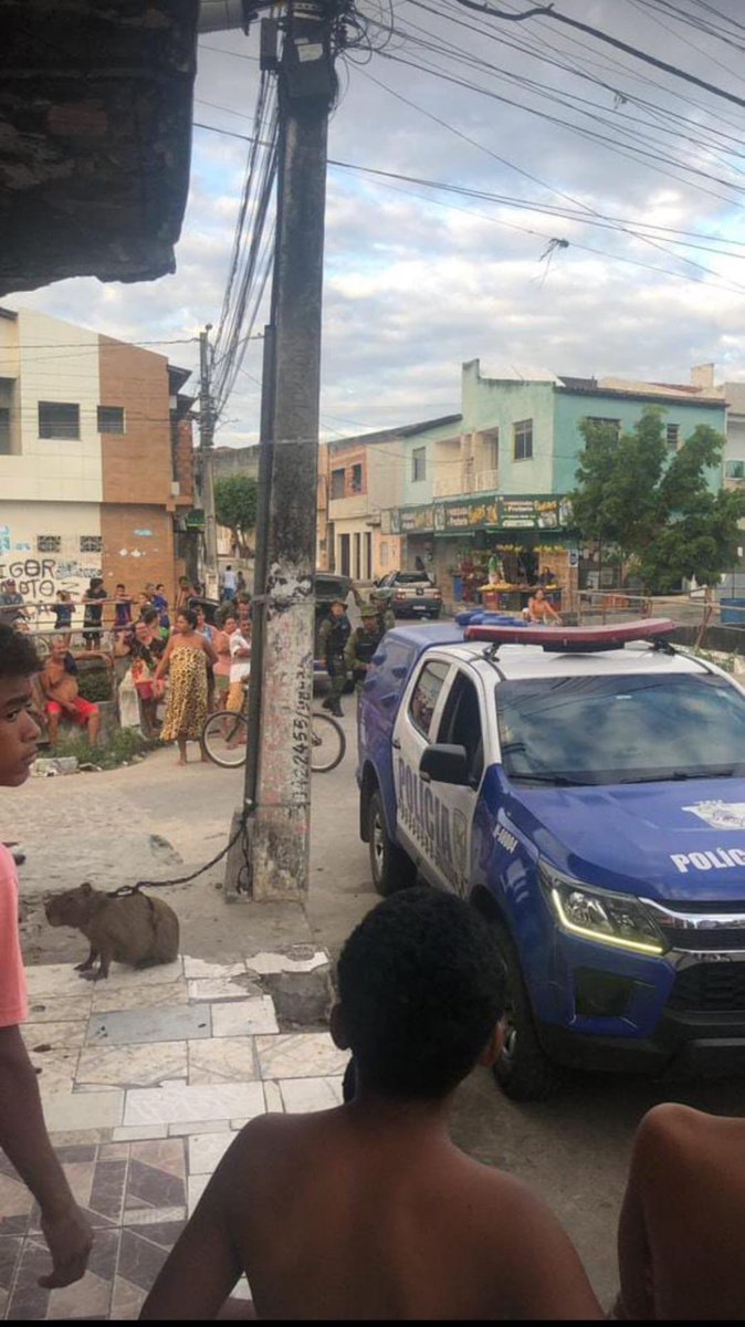 tá a maior confusão aqui na rua, a vizinha falou que o lugar de joão gomes não era no fasc e sim no arraiá do povo e a dona da mercearia não gostou e foi pra cima dela…. chamaram a polícia e tudo