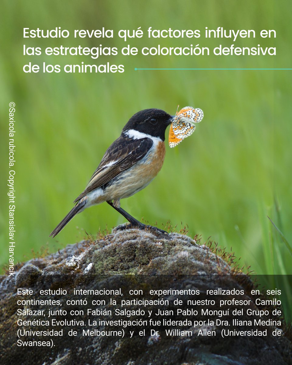 Escuela de Ciencias e Ingeniería-UR tweet media