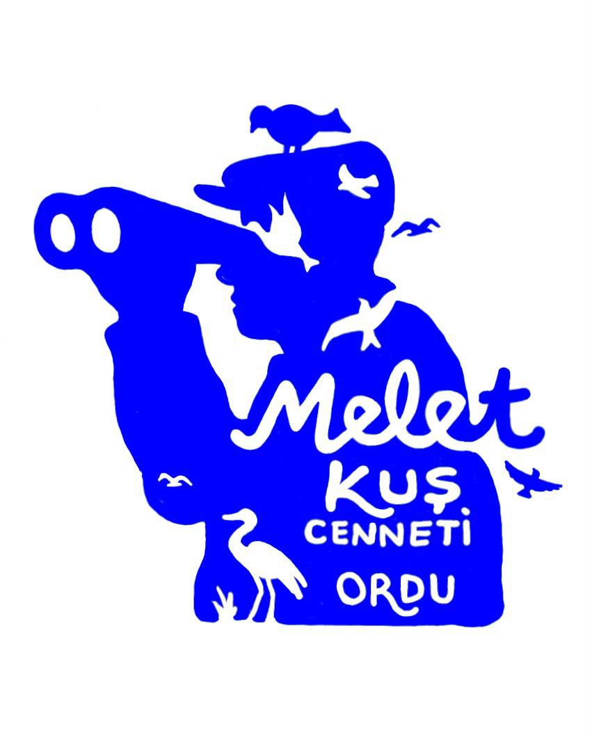 Ulaş TEPE tweet media