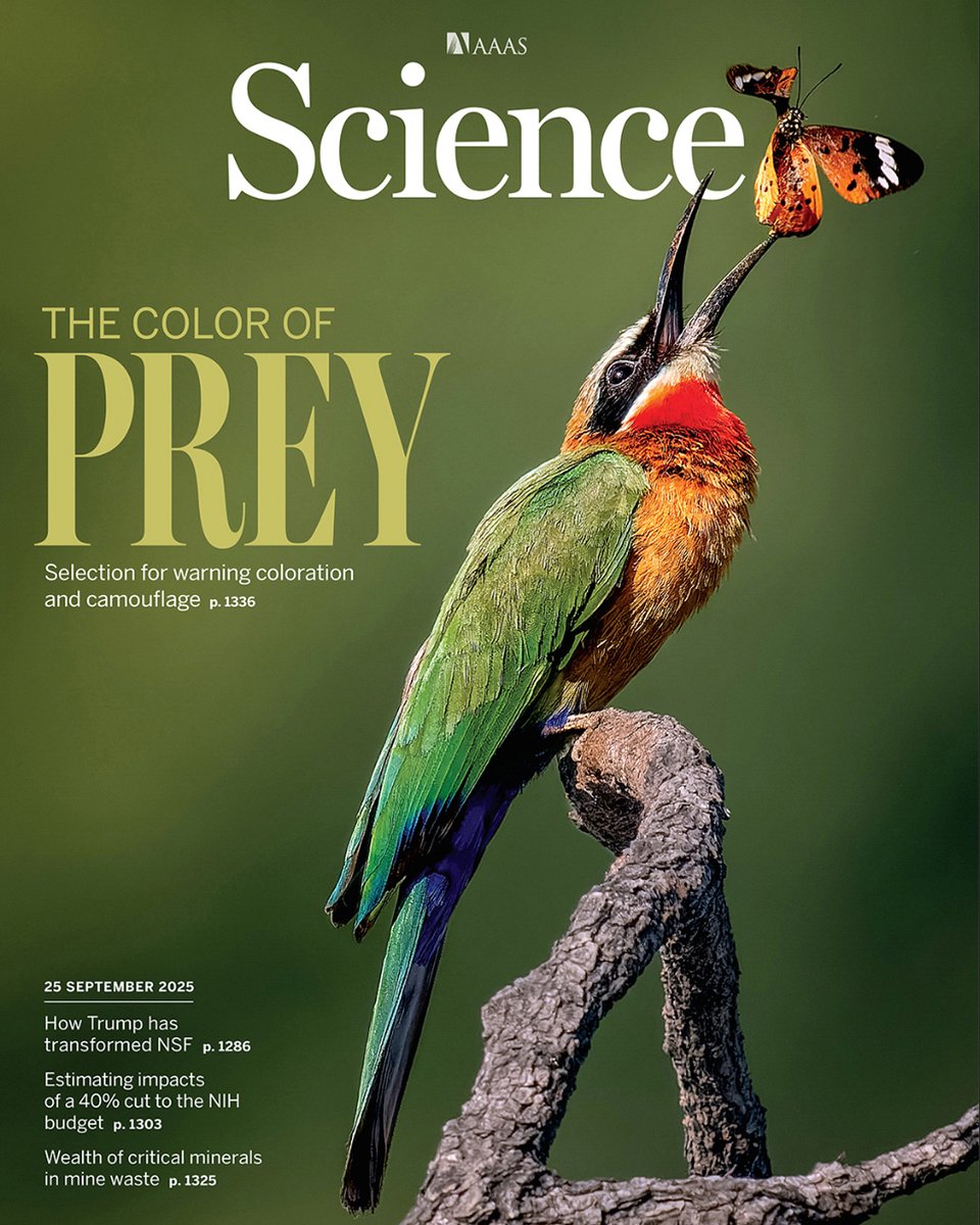 Escuela de Ciencias e Ingeniería-UR tweet media