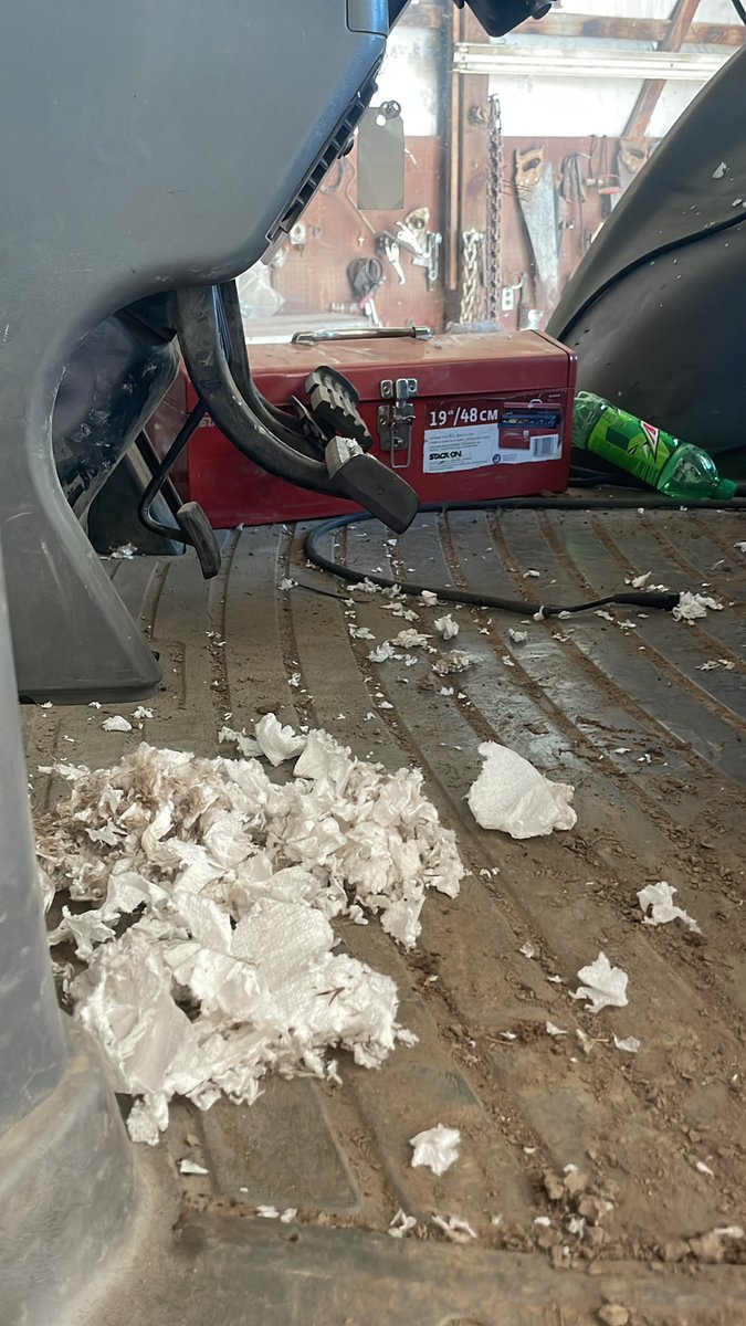 Good lord do I hate mice 🐭