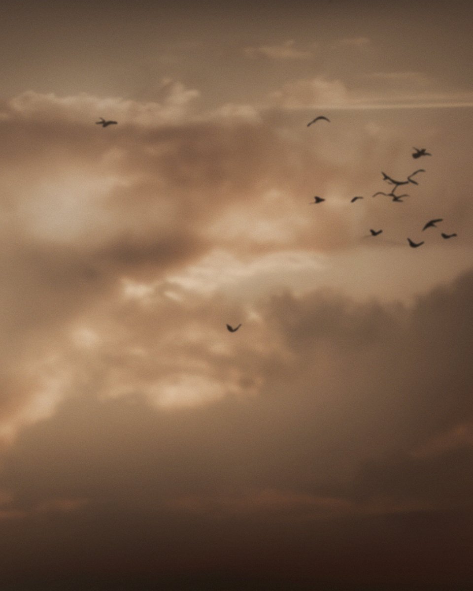 kenkenkazkaz222's tweet image. 