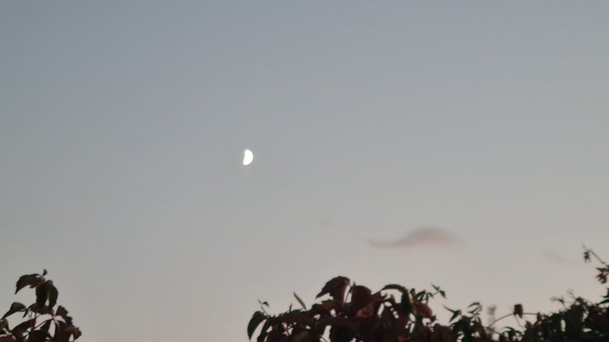 mdlozanoe's tweet image. After a stressful and crazy day, the moon🌙 (I wish I could take better pictures☹️) shows up &quot;to taste&quot;?? my-just from the Owen-cake🥧🥮😊😉😀).
Have a nice evening/night #Xtwitter #PathTwitter @IACytology @CytologyEFCS @SECitologia @SEAP_IAP @ESP_Pathology @israhkhan @tlabiano