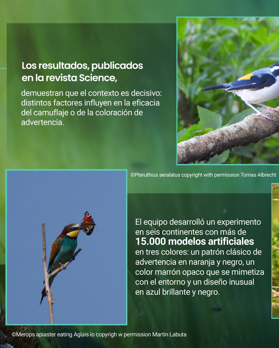 Escuela de Ciencias e Ingeniería-UR tweet media