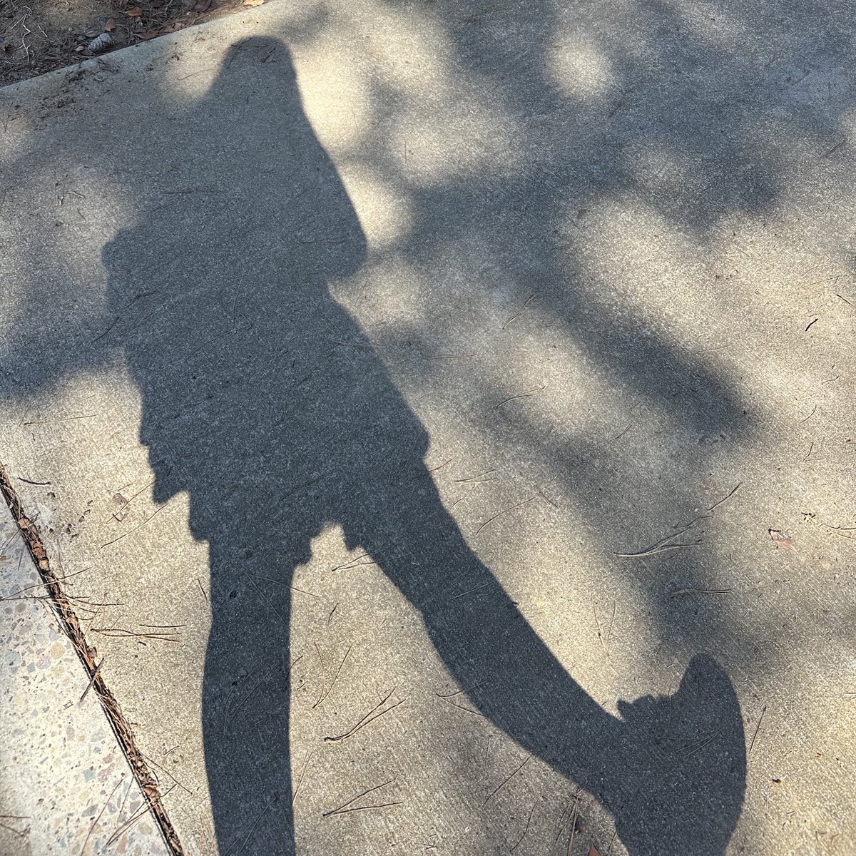 hamsterpupu's tweet image. #hamlife